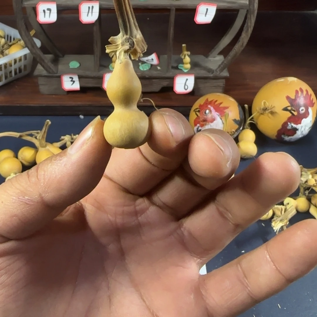 景**林我的小姐姐们都是我的小可爱们