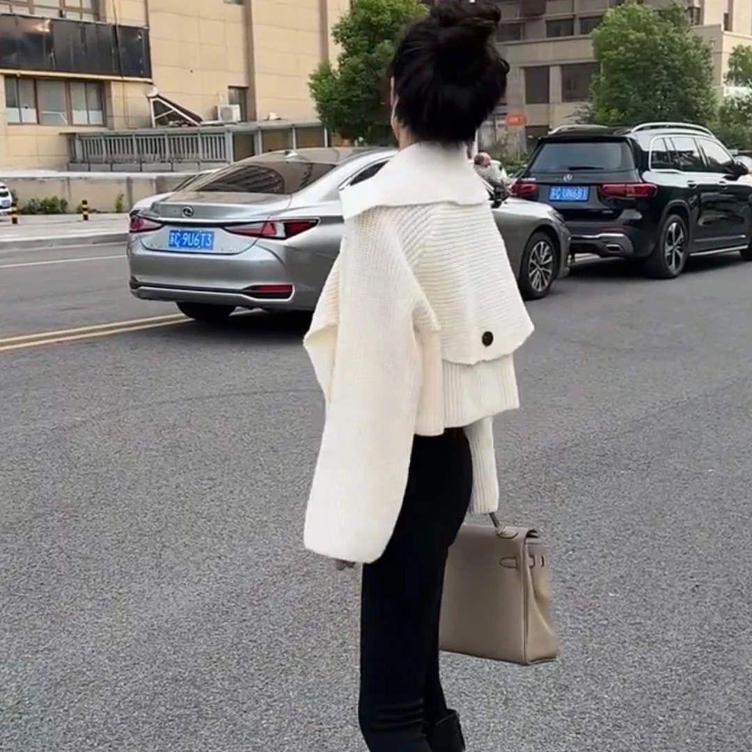 2025年新款欧洲站时尚洋气设计师小众针织毛衣个性外套