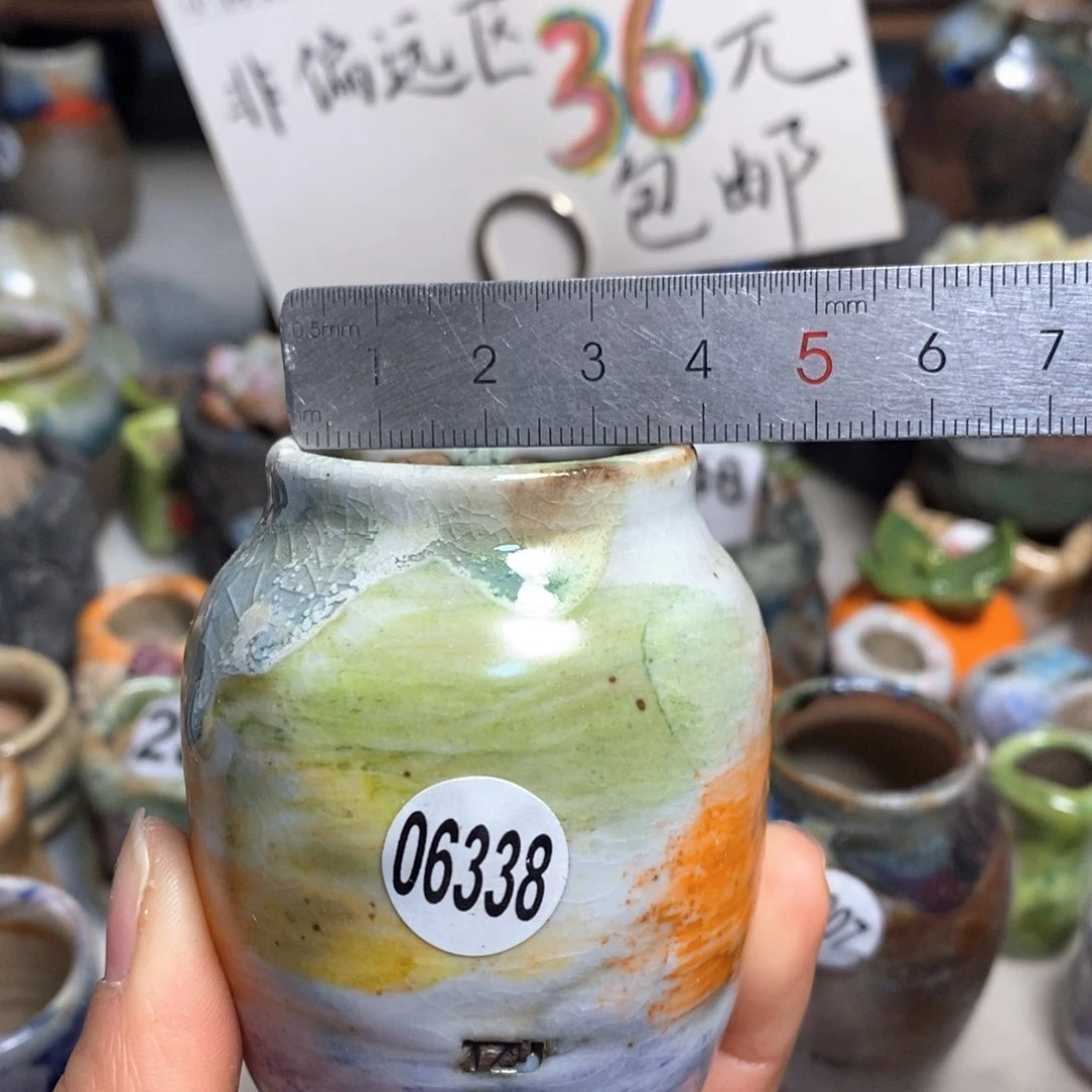 拍5送一个小礼物花盆