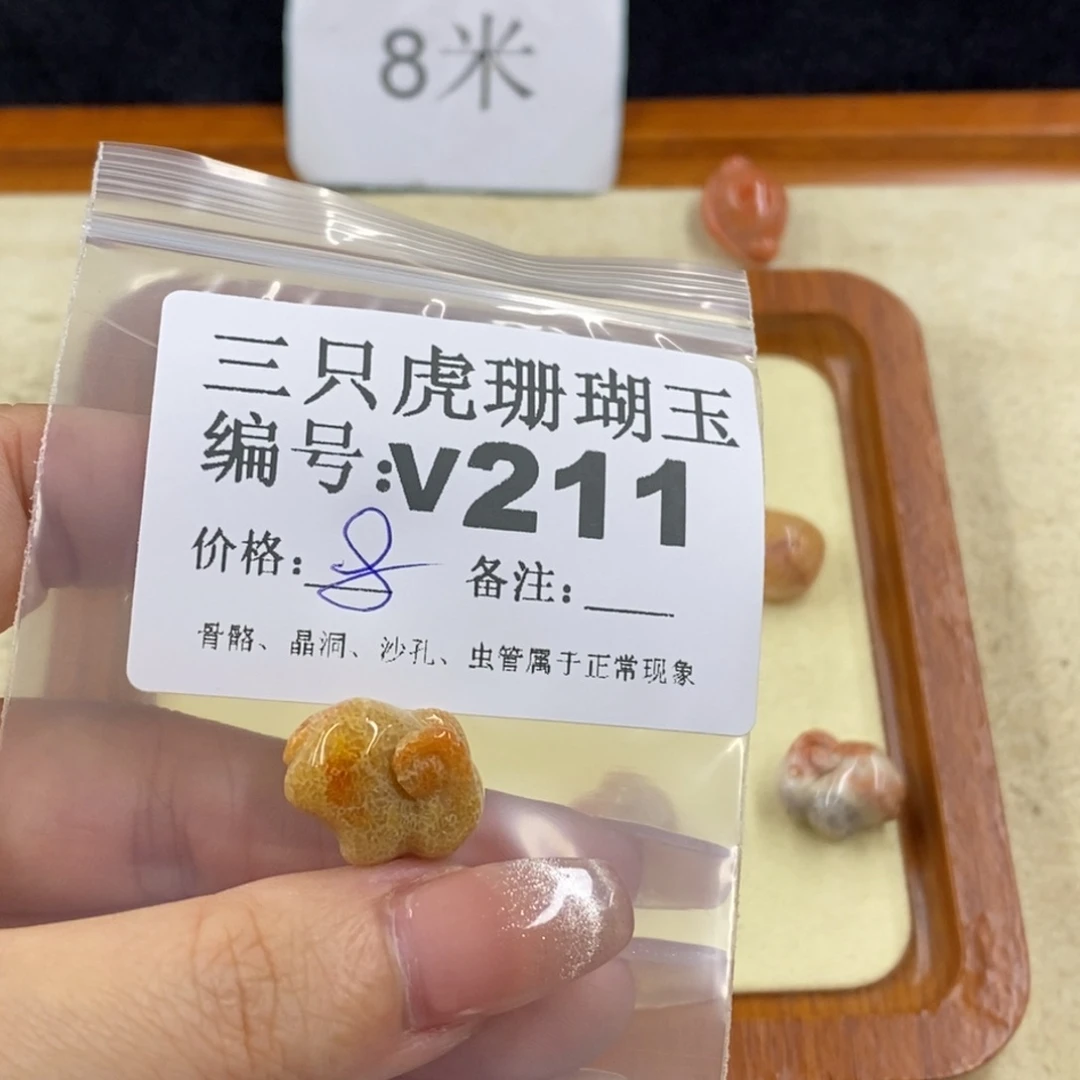 硅化珊瑚（珊瑚玉）未镶嵌1平**乐