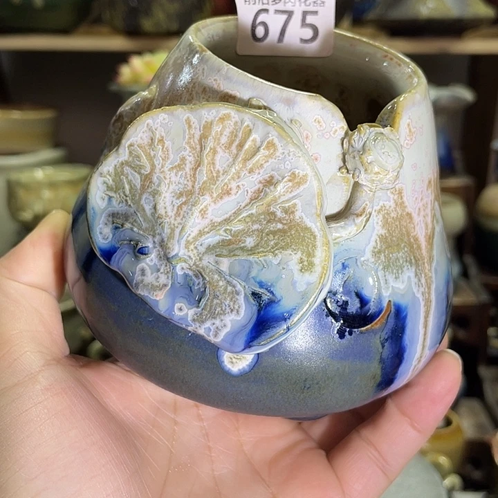 狼盆内口径6高度10