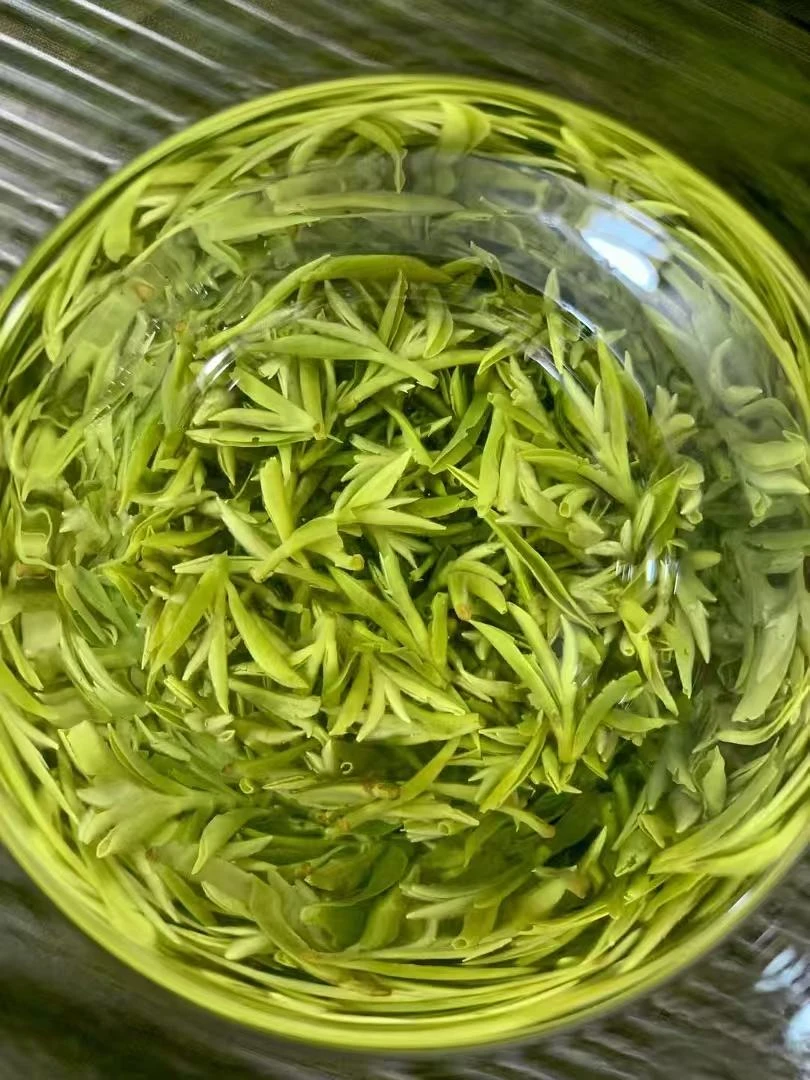 2025新茶 S5纯手工碧螺春绿茶 花果醇香 回味鲜爽甘甜 罐装春季