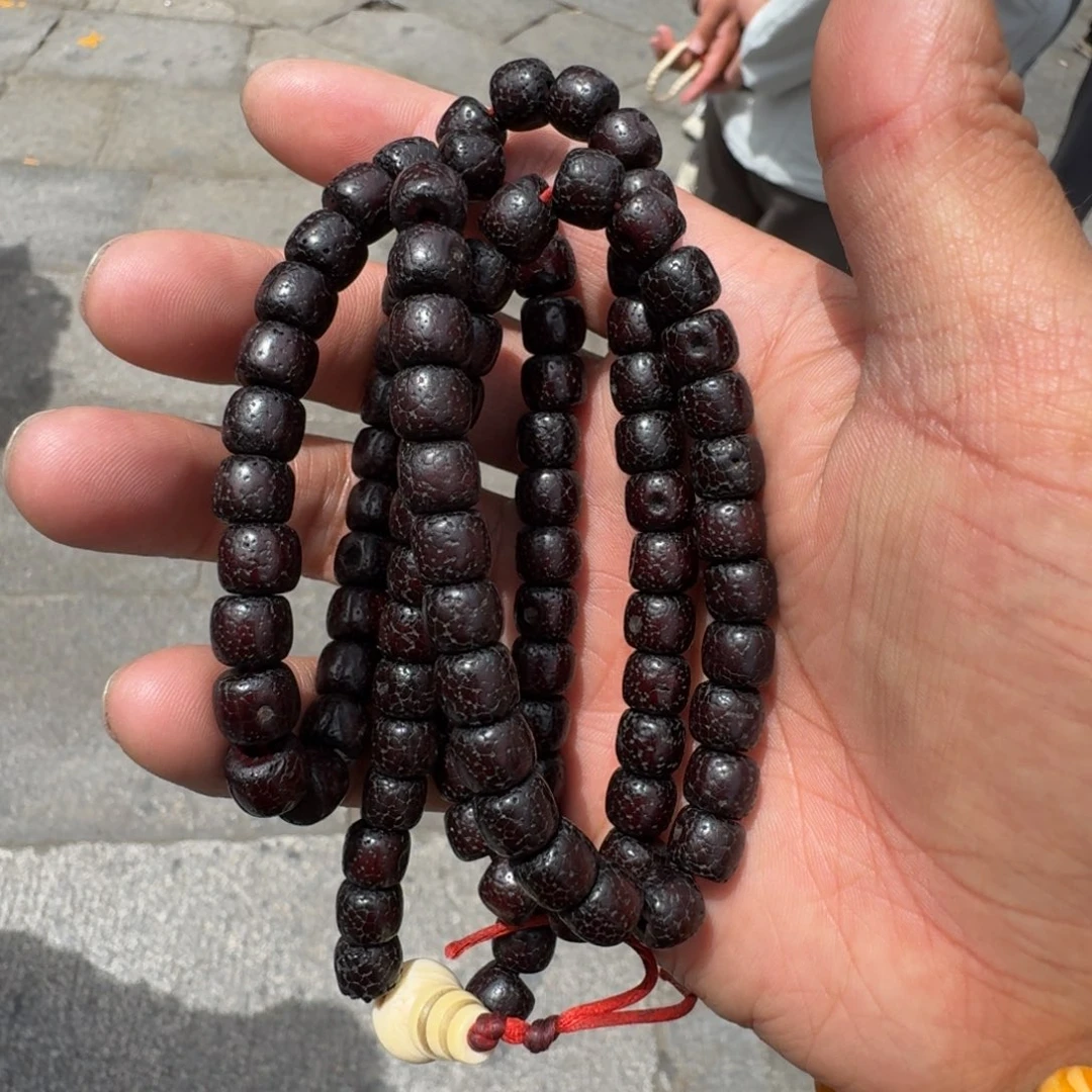 星月菩提吊坠菩提树等树木的生长发育和