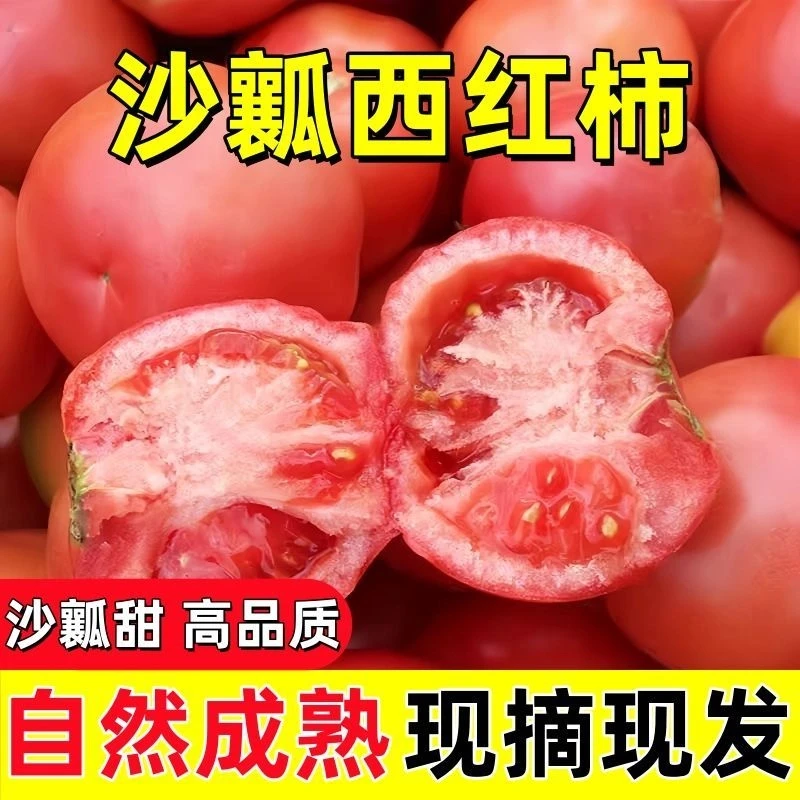 【云南沙瓤西红柿5斤】酸甜可口皮薄多汁自然成熟新鲜现摘产地直发