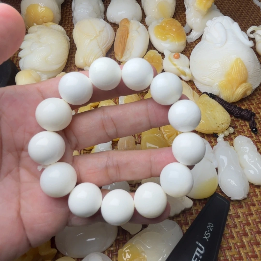 河***鱼贝壳非金属天然贝壳