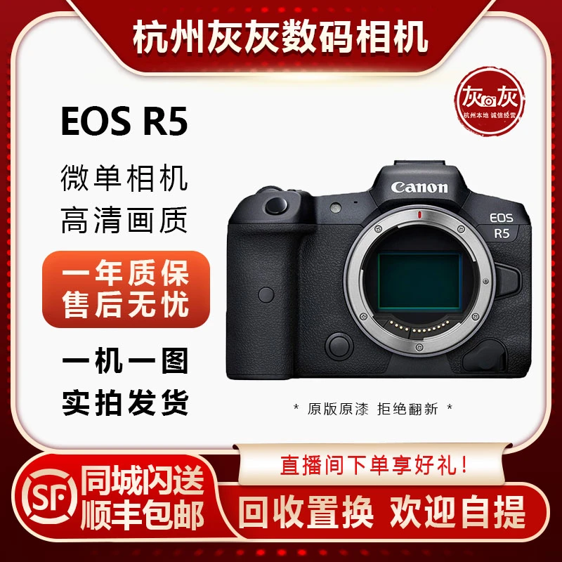 99新 Canon/佳能 R5专业微单相机4K高清套机拍照