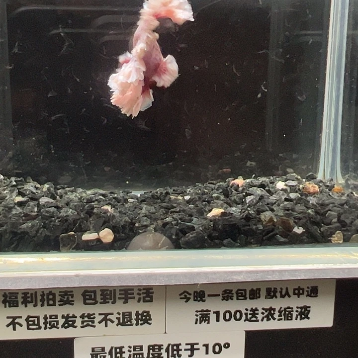 斗鱼跑单拉黑4日24@