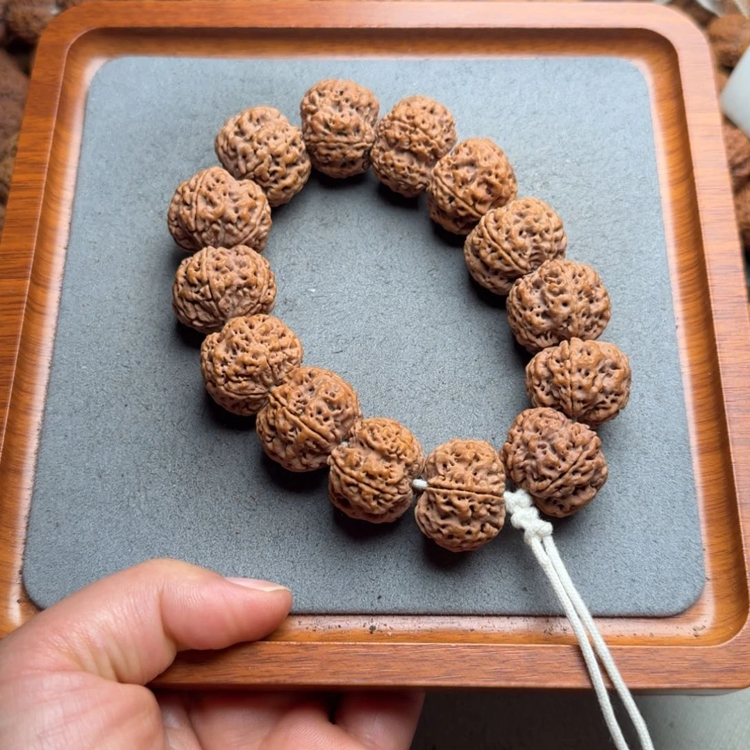 用***6菩提菩提12号尼泊尔大金刚24梅花蜂窝