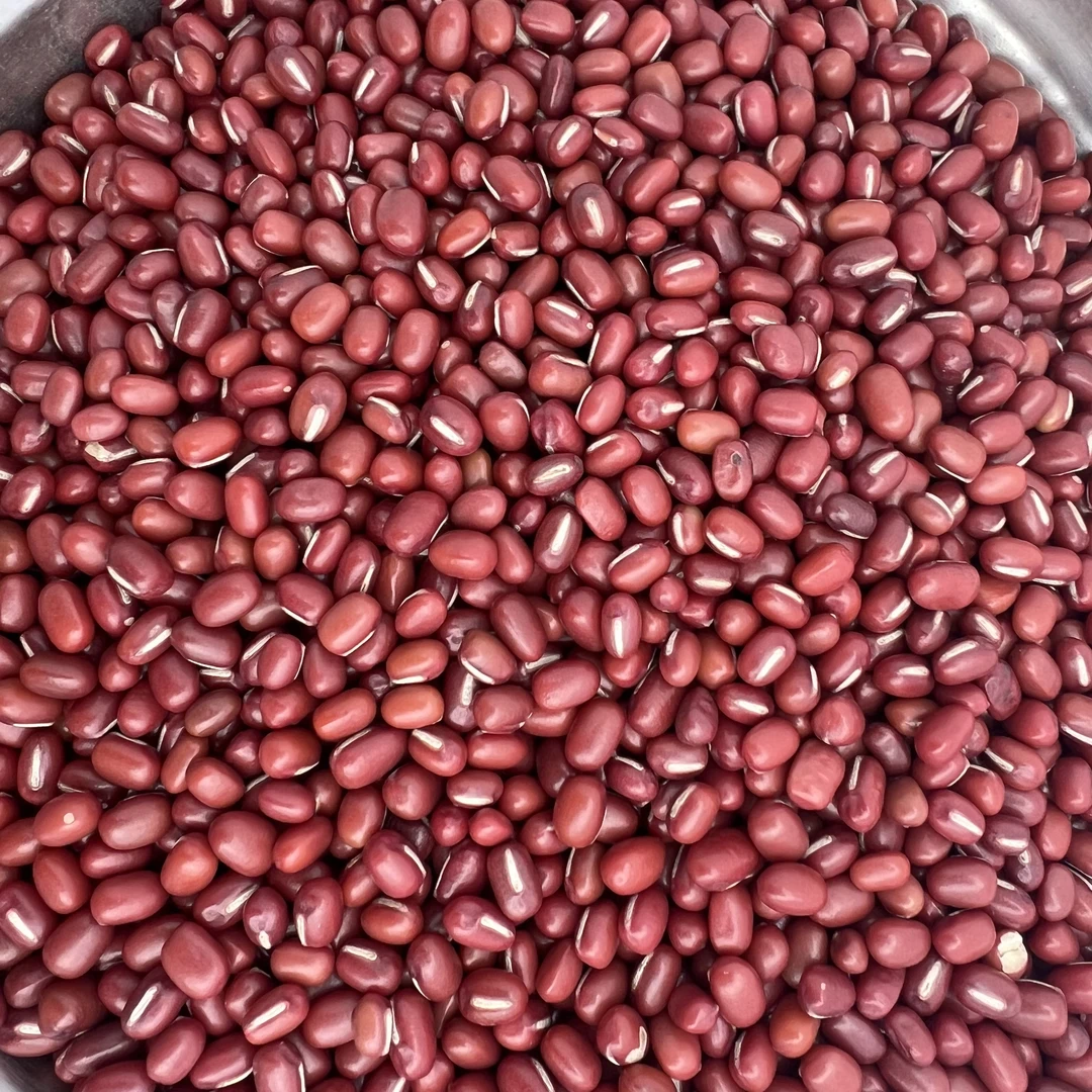 2025年新东北小园红小豆起沙饱满可做豆沙豆包馅煲粥的五谷杂粮