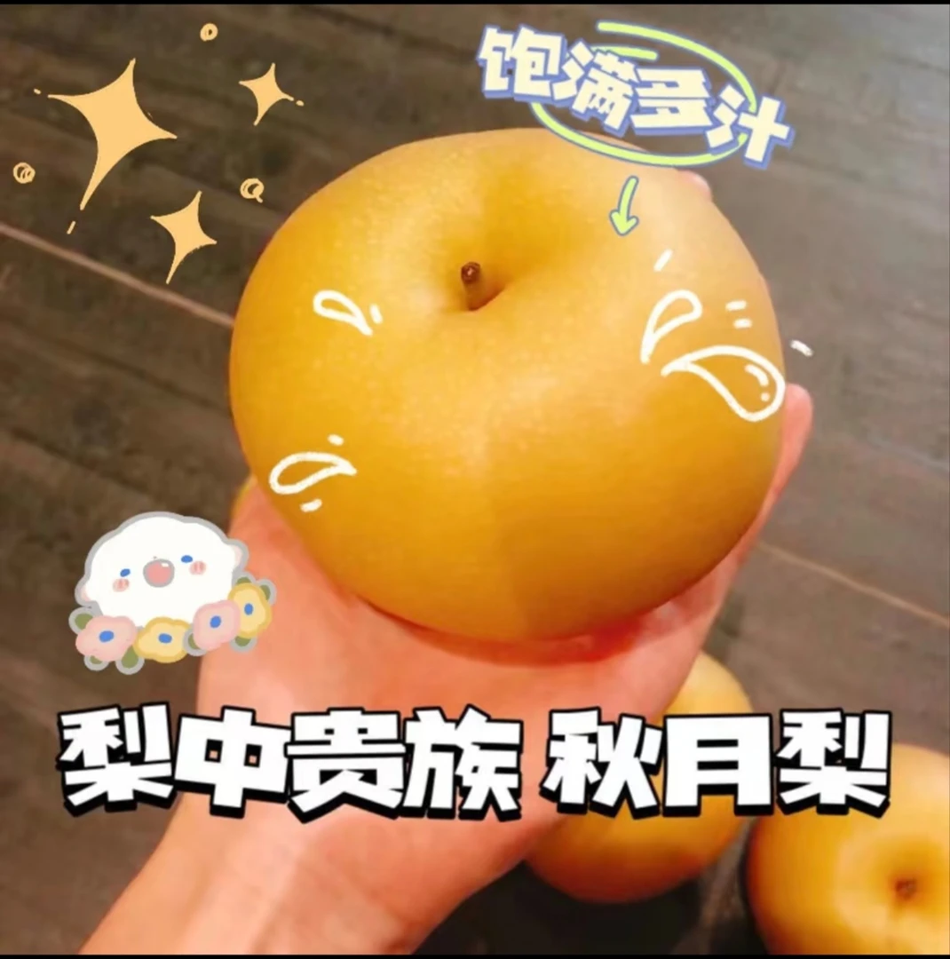 山东原产地新鲜采摘脆甜多汁秋月梨当季水果