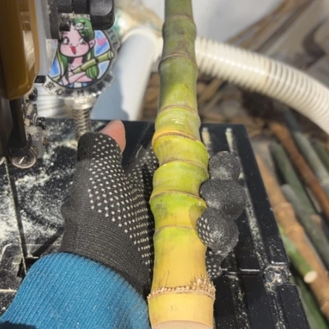 ****₄实心竹为种植业竹竹竹