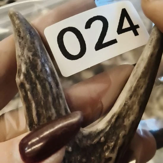 半***雨鹿角鹿角鹿角鹿角鹿角鹿角