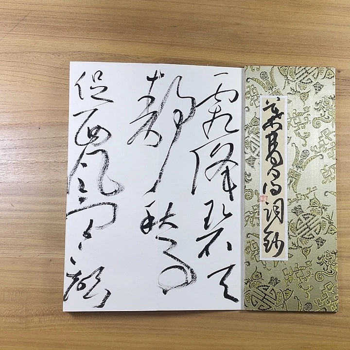 书法中书协会员作品