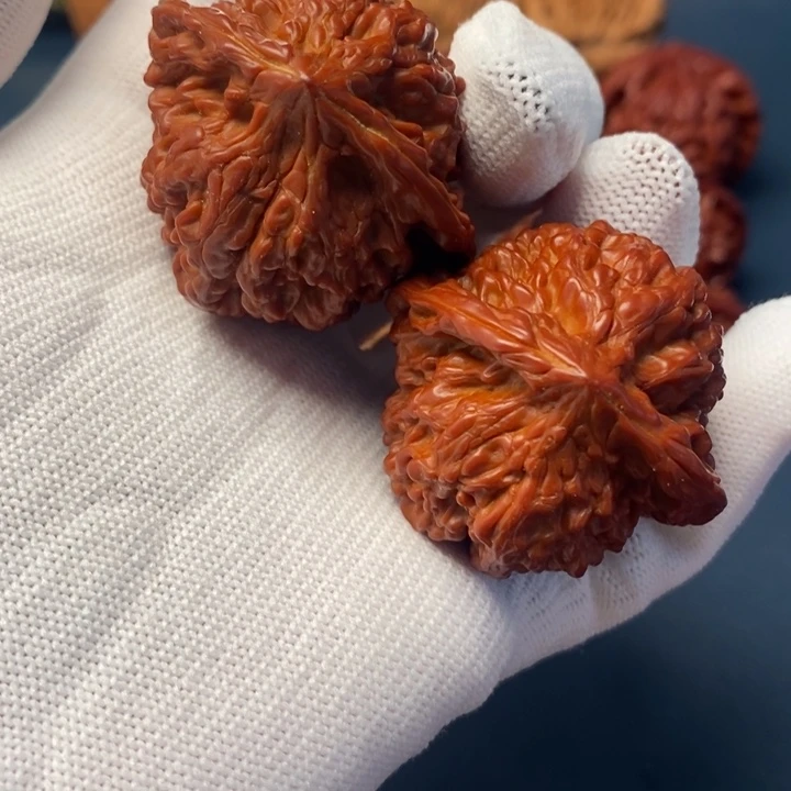 核桃满天星一对，机刷款