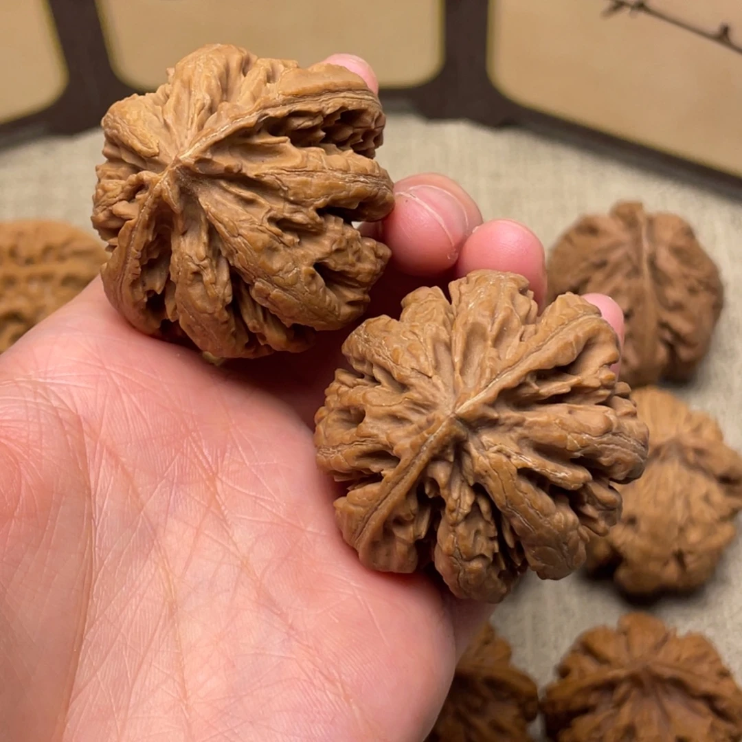 自***演核桃秦岭核桃29号