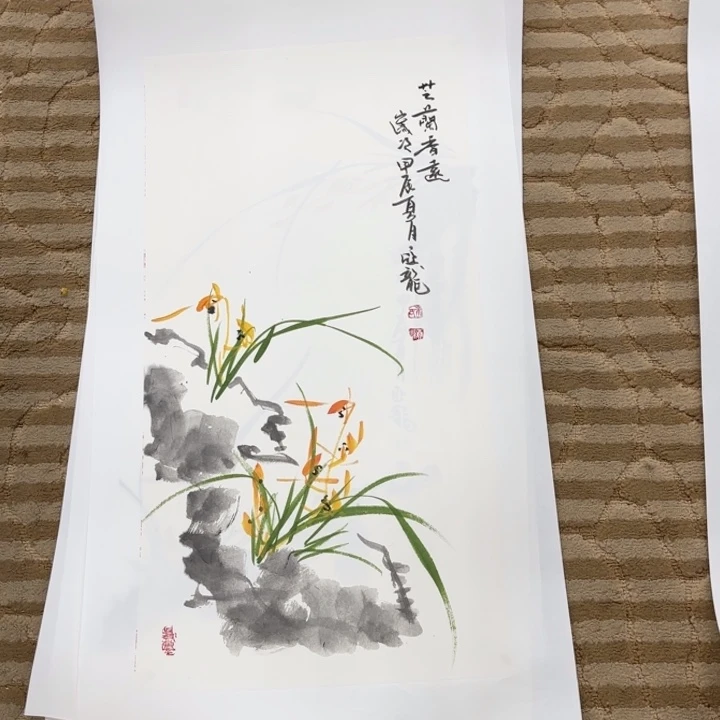 国画花鸟等多种鸟类和鸟类70.35