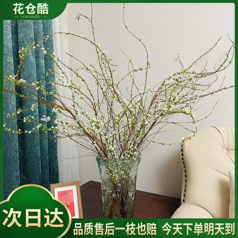 雪柳年宵花-干支京东物流-今天下单明天送达-下单任意2份花包邮配送