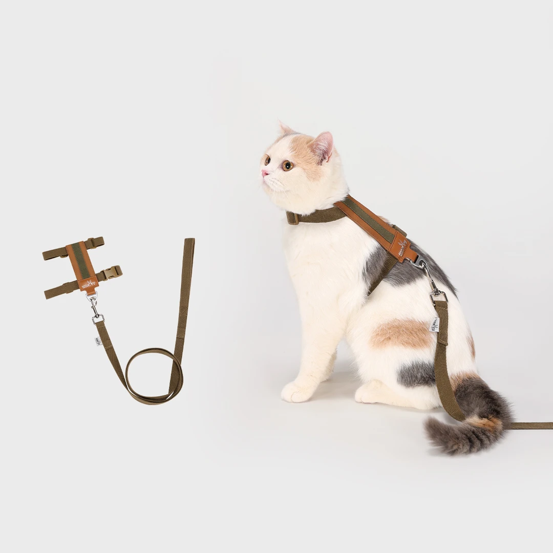 Wakytu英国宠物猫狗胸背带套装可调节工字防挣脱背心式猫咪牵引绳