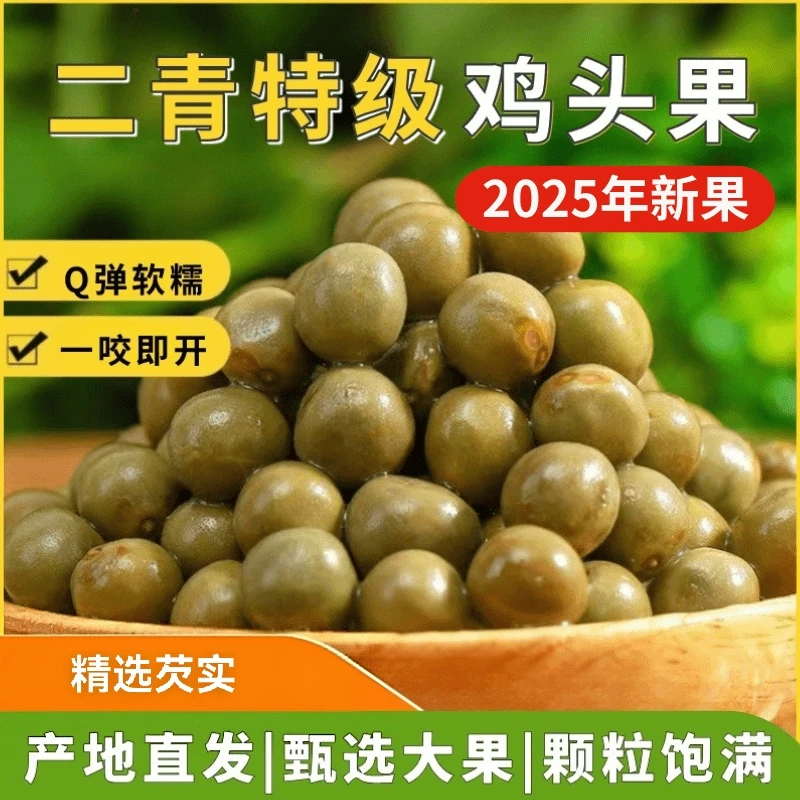2025年新鲜带壳鸡头果鸡头籽芡实大颗粒鸡头米固始县特产滋补营养