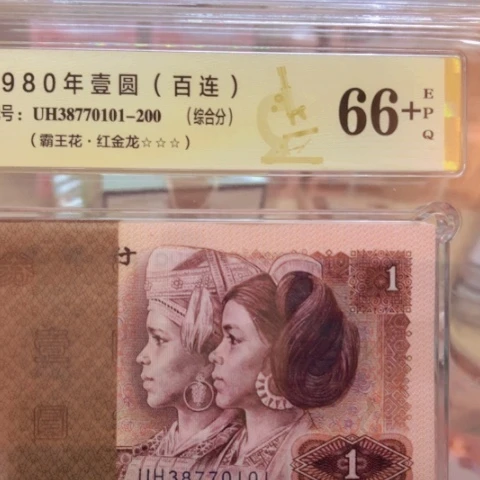 塑料38770101红金龙——————-