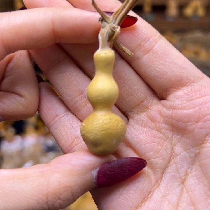 ༺***️健健康康快快乐乐