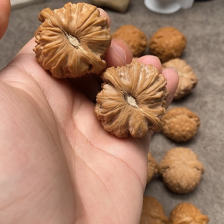 核桃手串/手链40全品卡姿兰白狮子