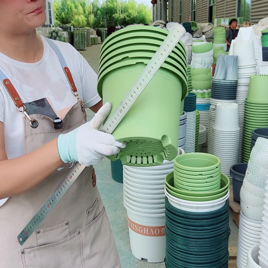 瑕疵四季盆3#果绿色12个无托