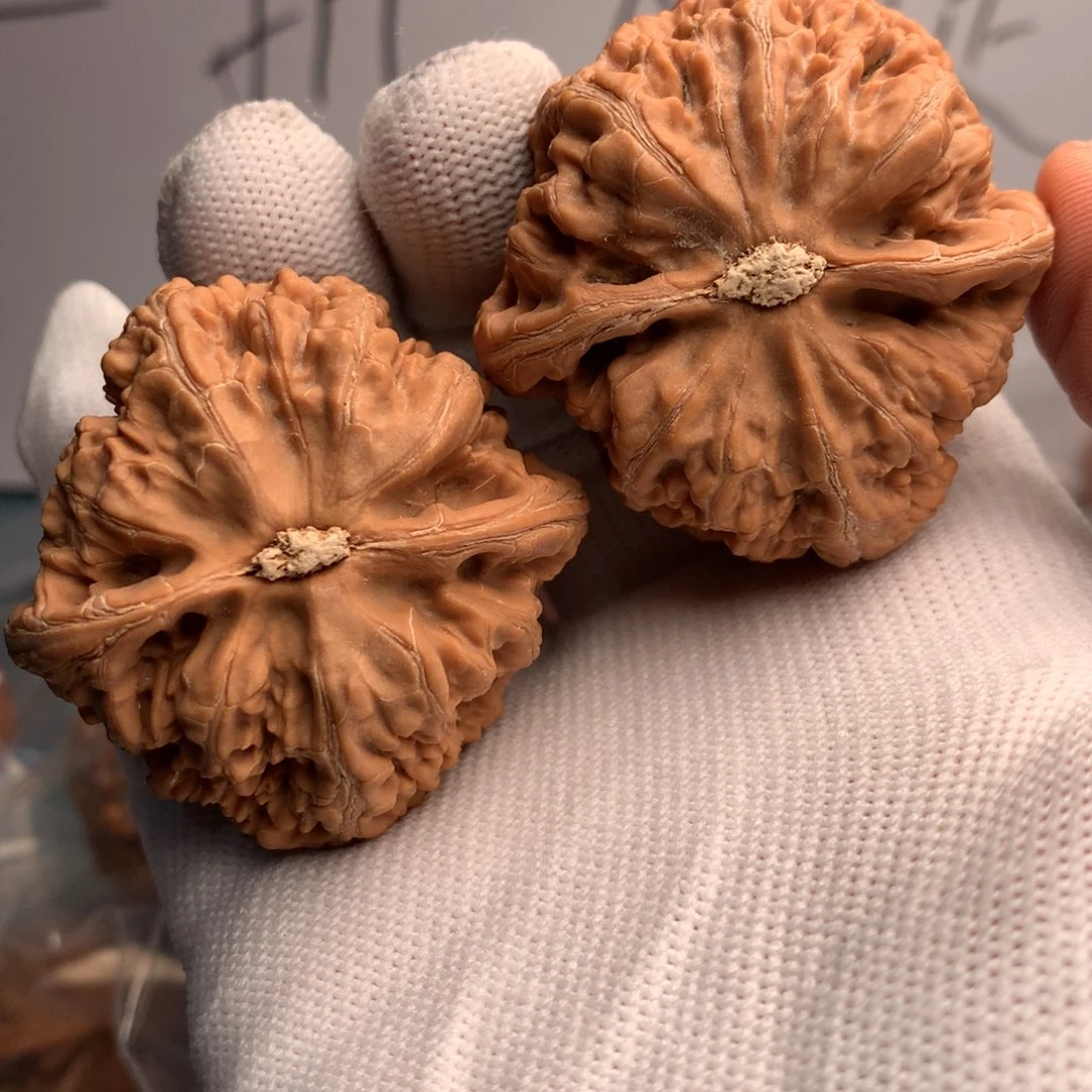 风***样粗筋47件和两包的小包装