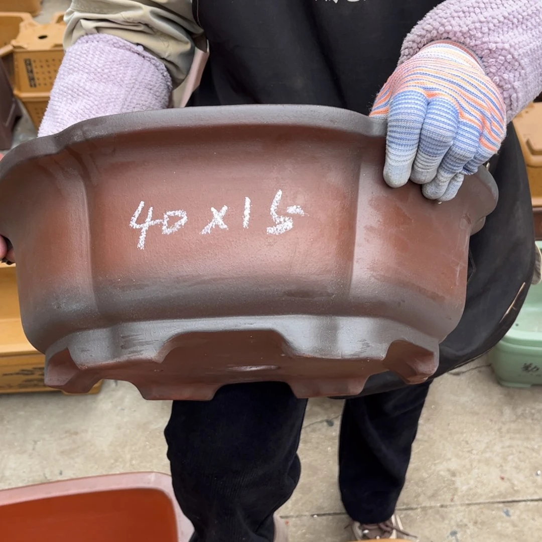 紫砂花盆盆景艺术