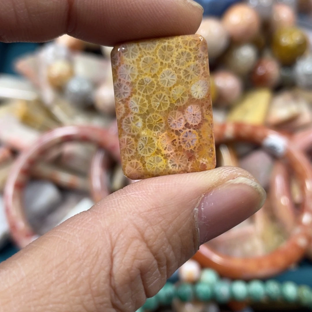 未镶嵌手镯硅化玉