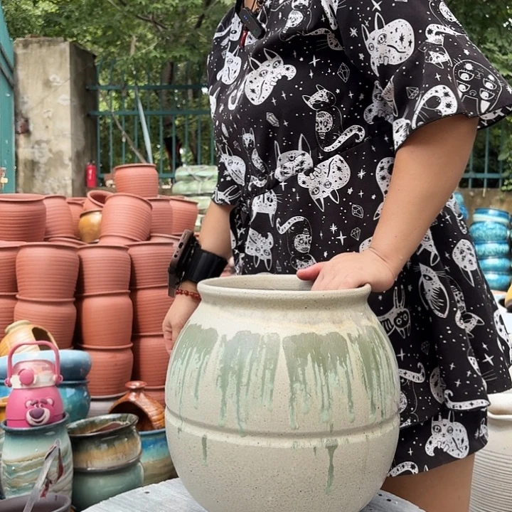 20/27瑕疵的一个盆