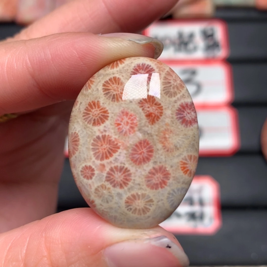 【闪购商品】硅化玉颈饰未镶嵌浑***馆