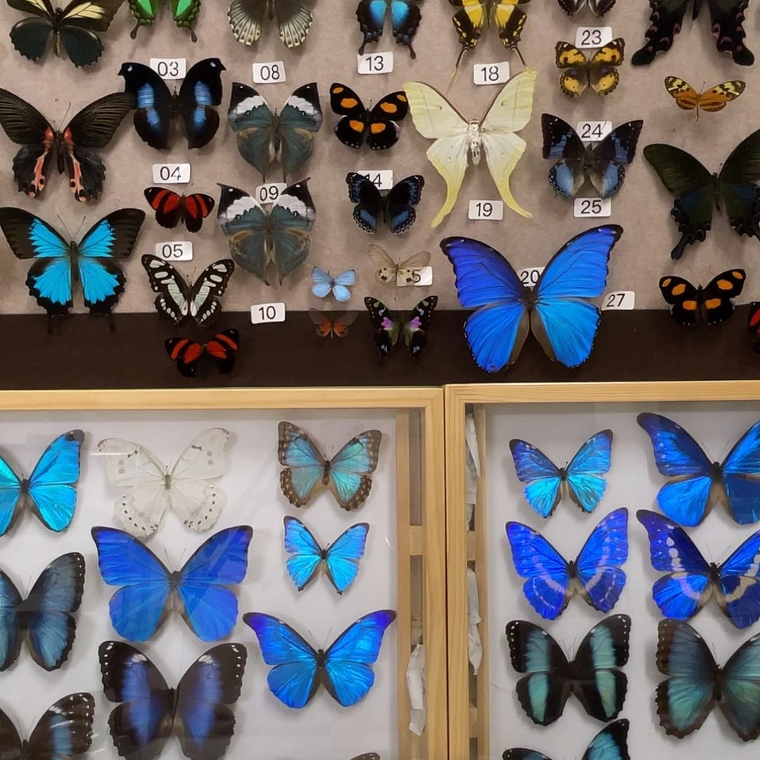 有机玻璃汕****）