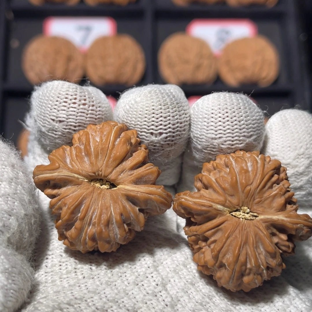 等***…文玩核桃吊坠08秦皇岛山地果全品