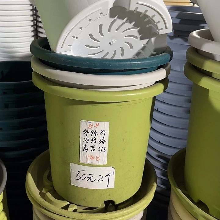 微瑕8#口径39无托果绿5个