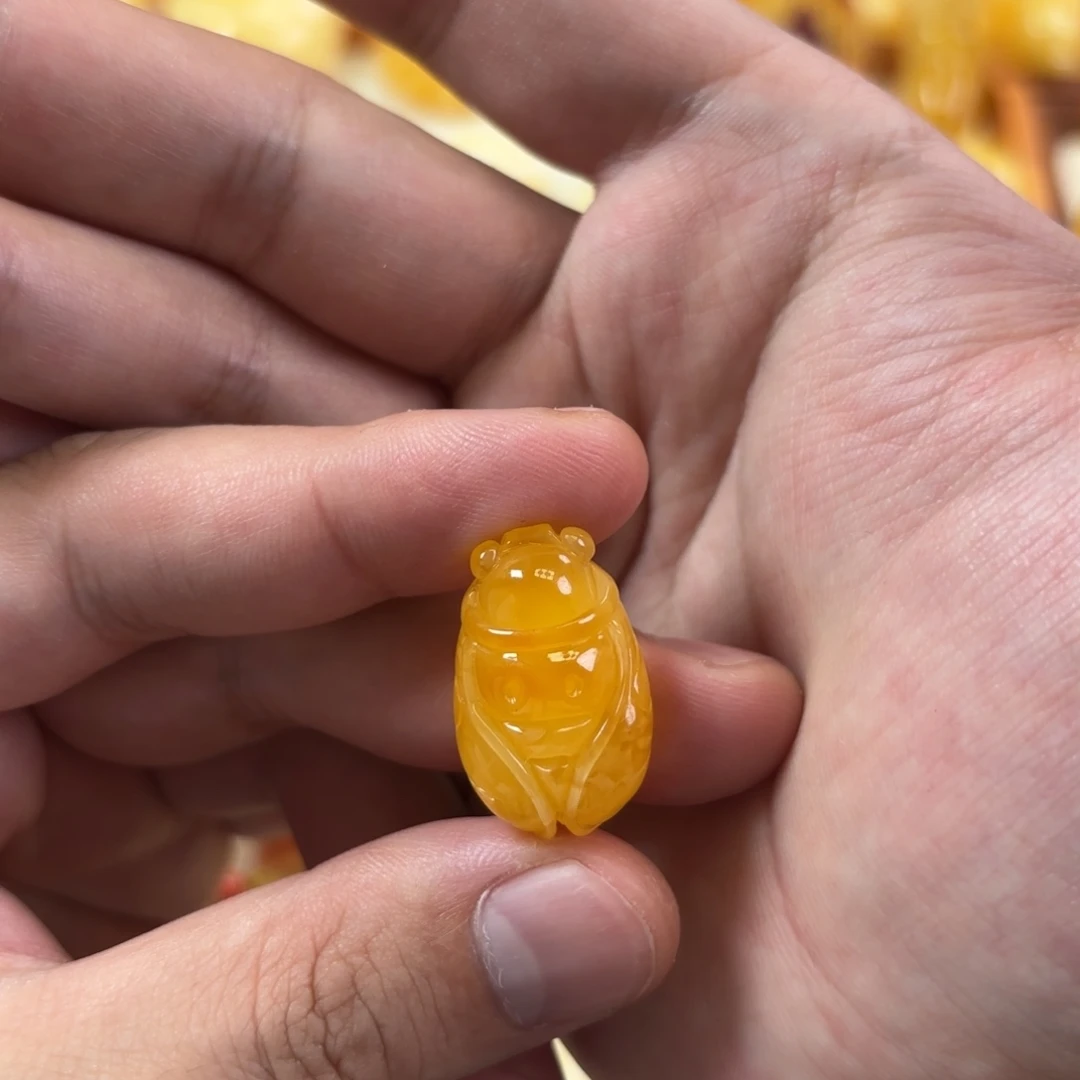 蜜蜡未镶嵌裸石知了