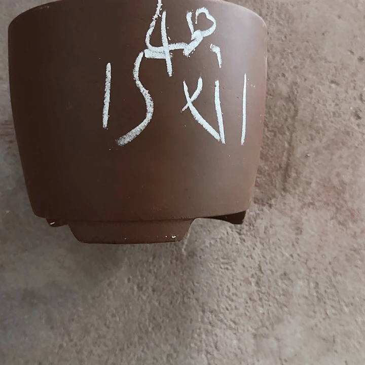 回***归紫砂花盆破损包赔