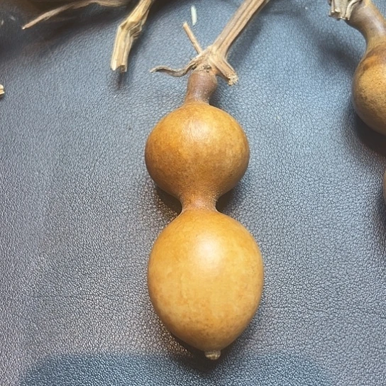 @*葫芦葫芦葫芦葫芦