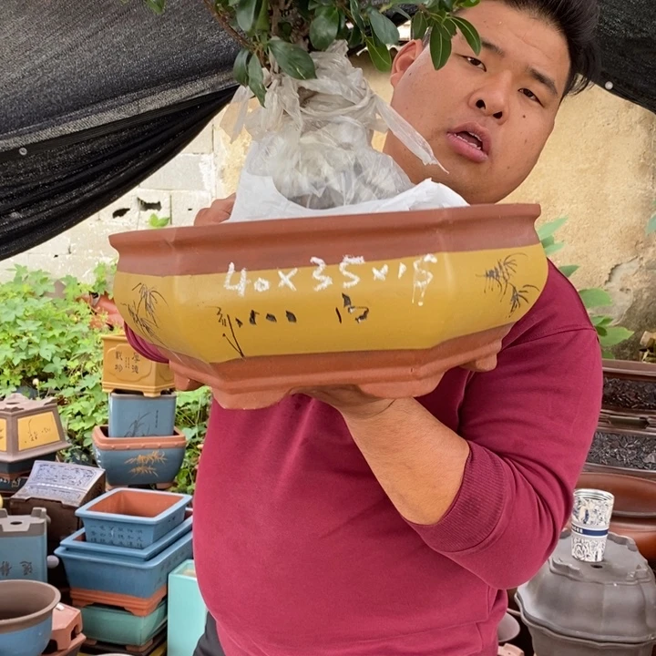 花盆紫砂没有什么不可以的事情