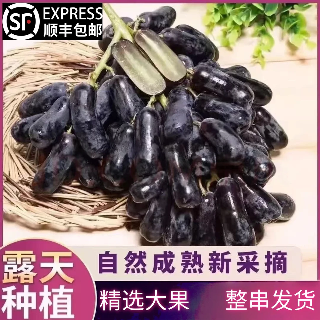 【顺丰产地直发】新鲜直供蓝宝石金手指葡萄无籽饱满优质果品放心购