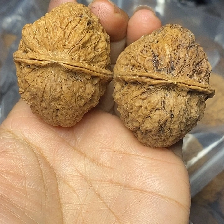 文玩核桃把件云南铁核桃81