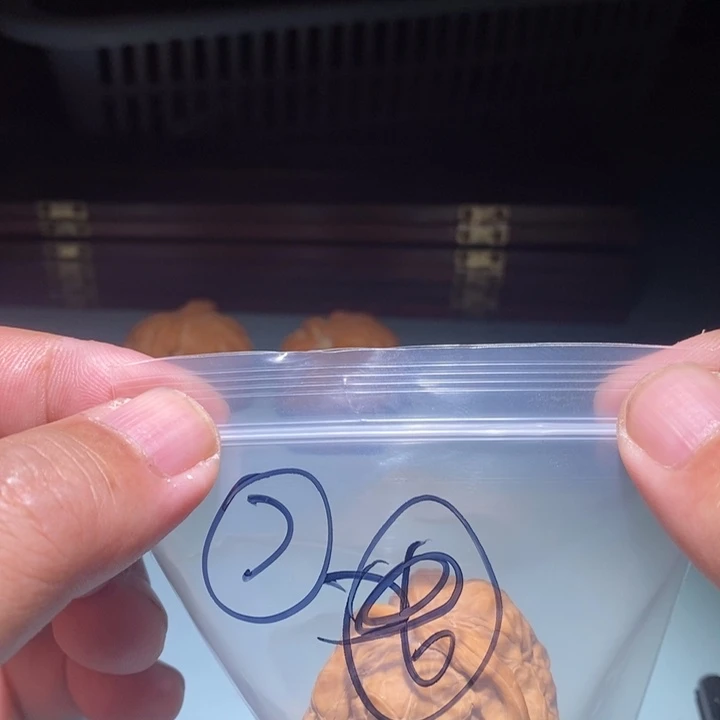 健***哥核桃7呃呃呃呃呃呃