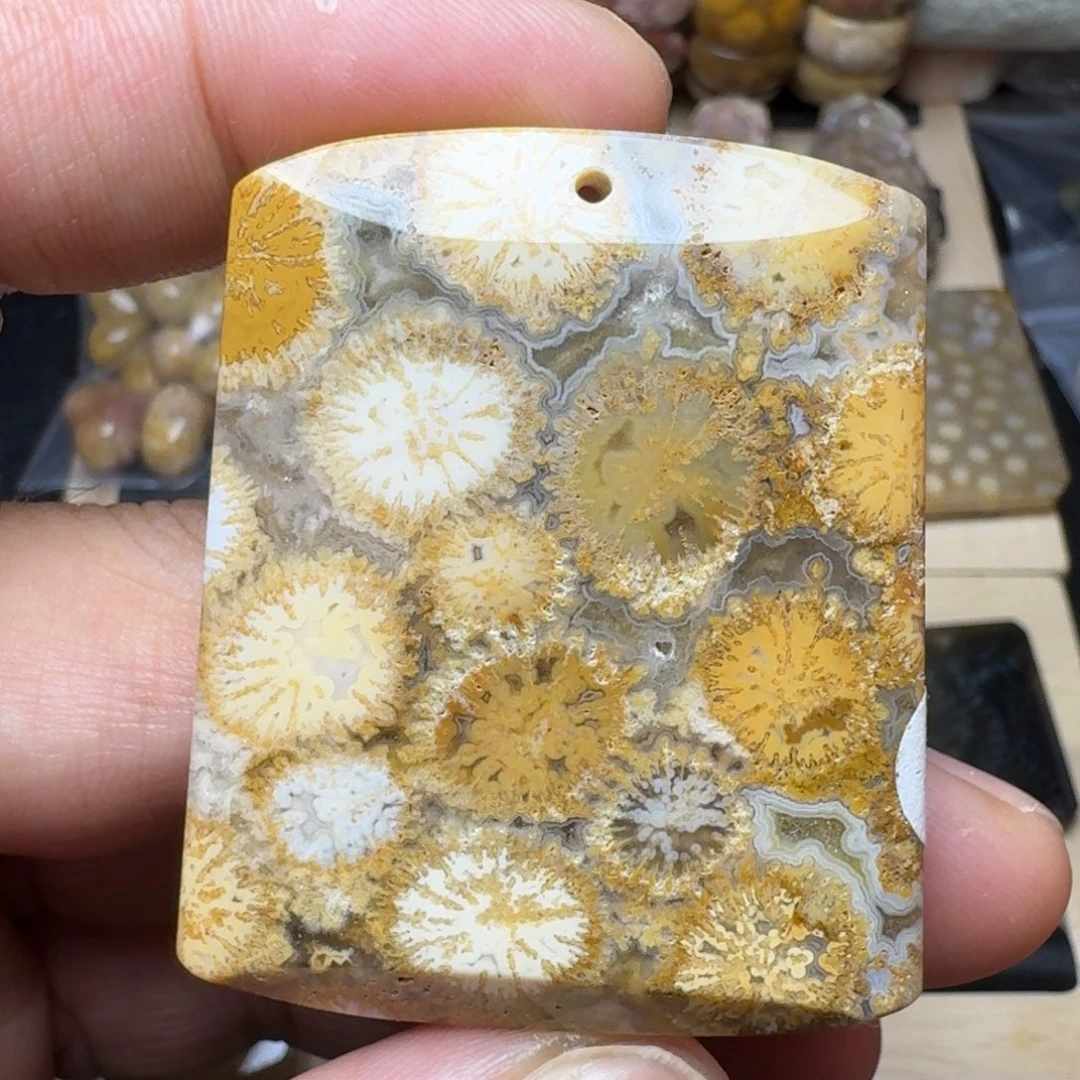 硅化珊瑚（珊瑚玉）未镶嵌纯天然色有机玉石保真色
