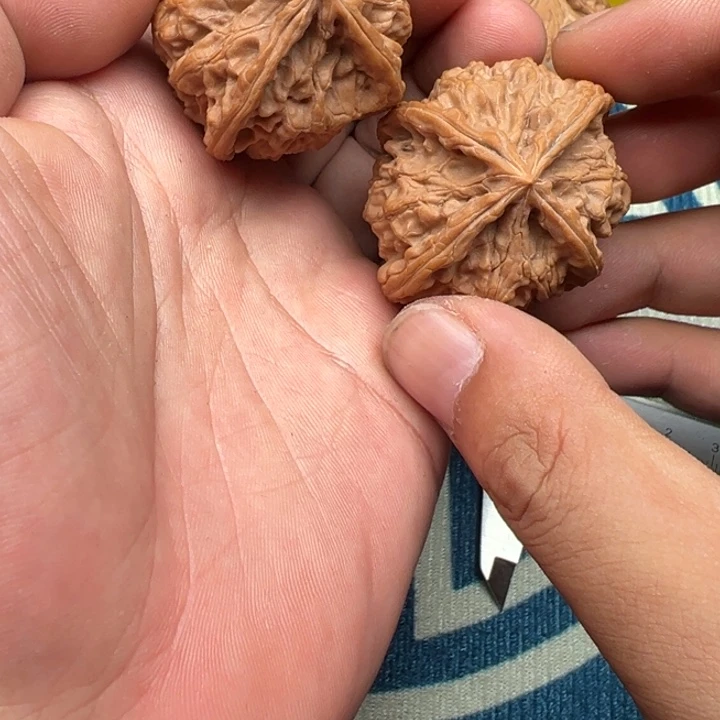 核桃文玩核桃4棱 46