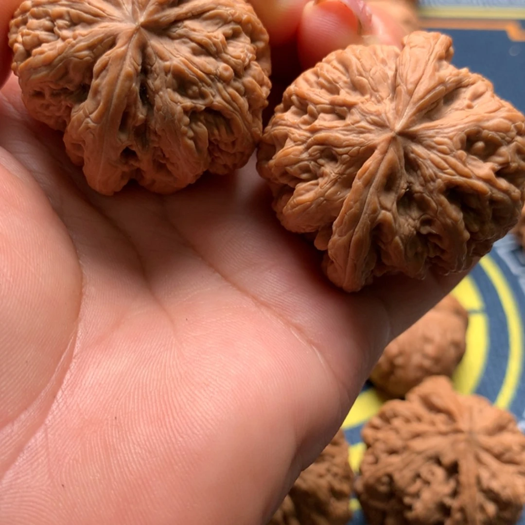 【闪购商品】把件文玩核桃梦*蝶粗筋42