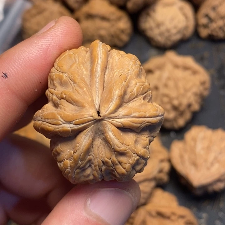 文玩核桃吊坠语***✨文玩核桃异形单只