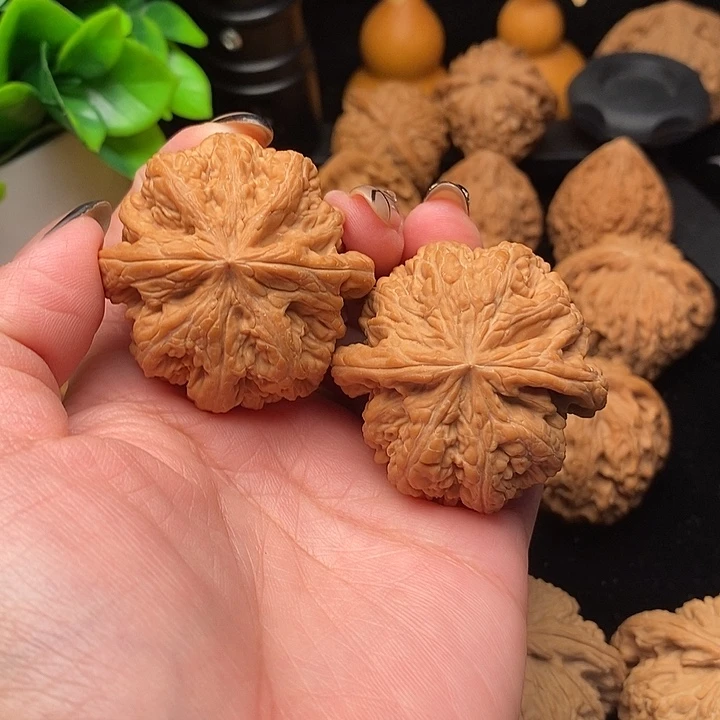 核桃平谷大粗筋其他筋