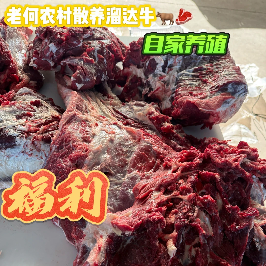 老何农村散养溜达牛肉 4斤 5斤 粮食喂养 煎炒烹炸涮