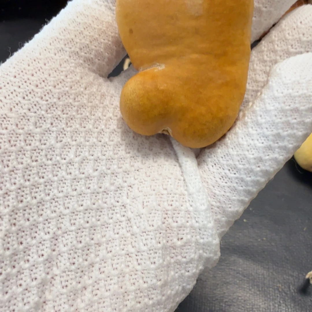 祖***贤666666666666666676766