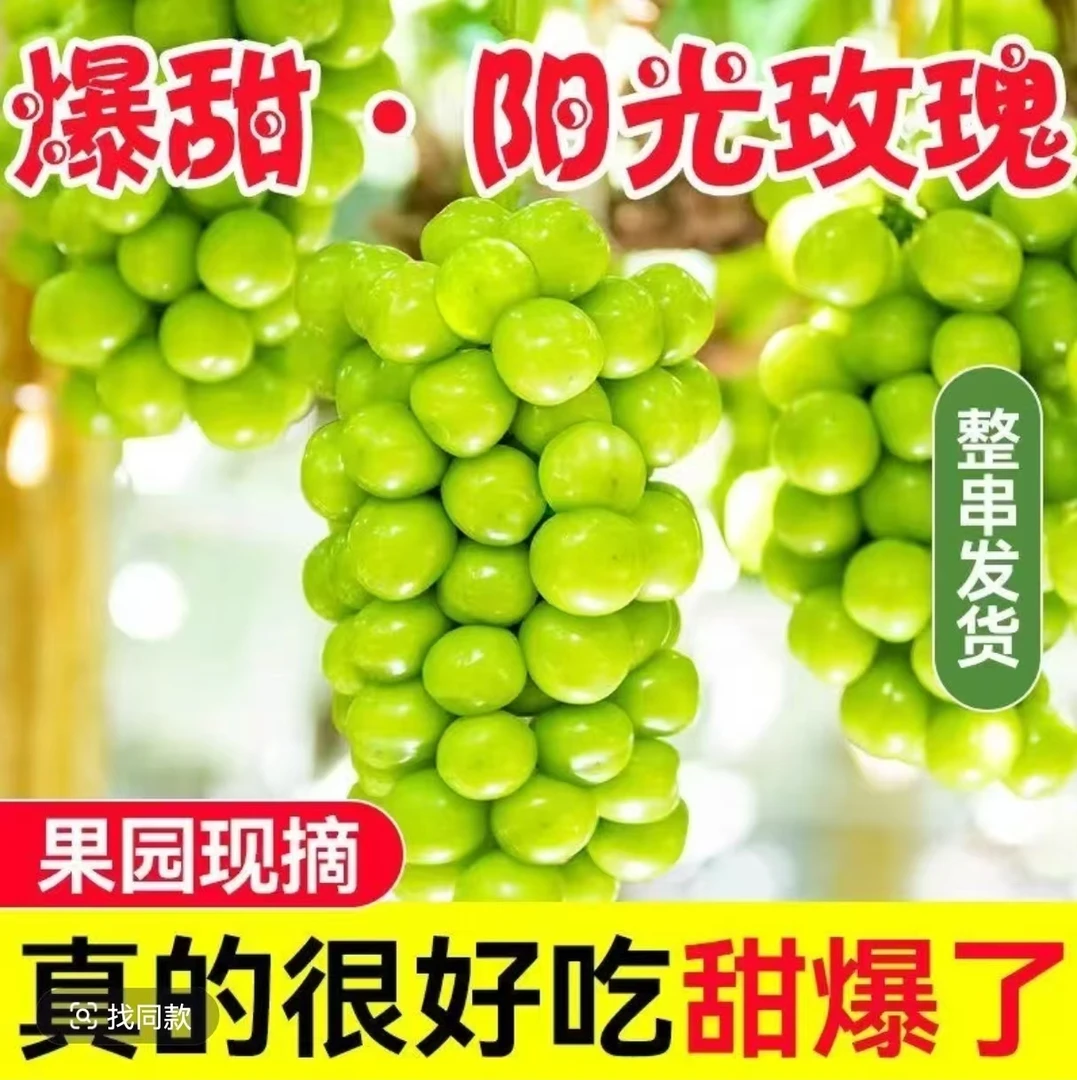 阳光玫瑰脆甜爆汁无籽葡萄当季新鲜水果现摘现发孕妇水果一